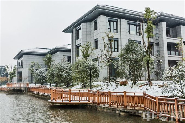 “五一”假期青岛文旅场景集中“上新” “刷榜”热门目的地_游客_旅游_海上