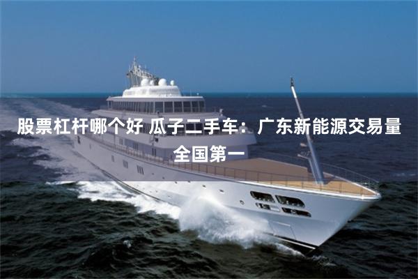 股票杠杆哪个好 瓜子二手车：广东新能源交易量全国第一