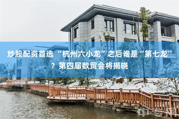 炒股配资首选 “杭州六小龙”之后谁是“第七龙”？第四届数贸会将揭晓