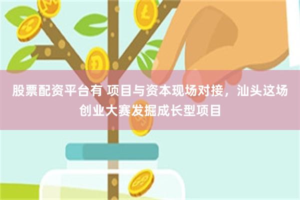 股票配资平台有 项目与资本现场对接，汕头这场创业大赛发掘成长型项目