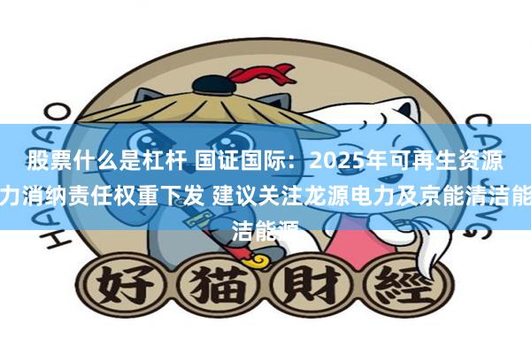 股票什么是杠杆 国证国际：2025年可再生资源电力消纳责任权重下发 建议关注龙源电力及京能清洁能源