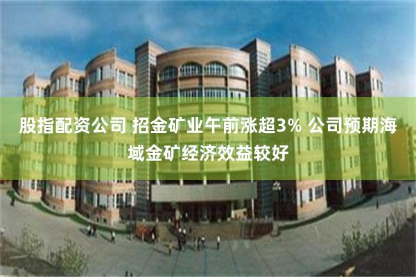 股指配资公司 招金矿业午前涨超3% 公司预期海域金矿经济效益较好