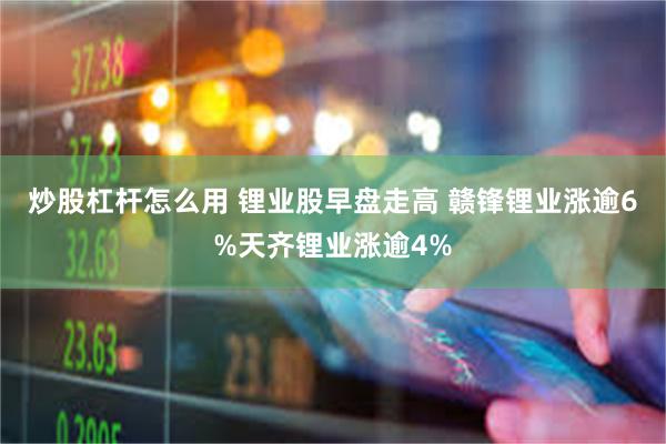 炒股杠杆怎么用 锂业股早盘走高 赣锋锂业涨逾6%天齐锂业涨逾4%