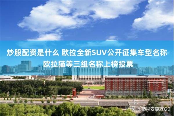 炒股配资是什么 欧拉全新SUV公开征集车型名称 欧拉猫等三组名称上榜投票
