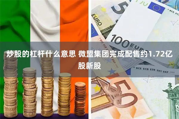 炒股的杠杆什么意思 微盟集团完成配售约1.72亿股新股