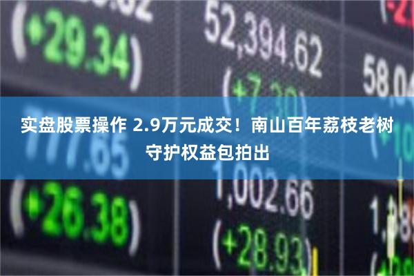 实盘股票操作 2.9万元成交！南山百年荔枝老树守护权益包拍出
