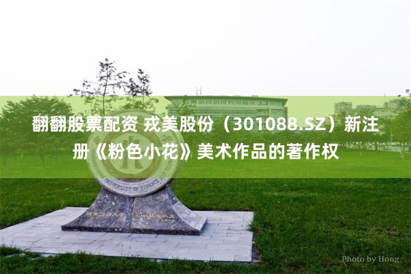 翻翻股票配资 戎美股份（301088.SZ）新注册《粉色小花》美术作品的著作权