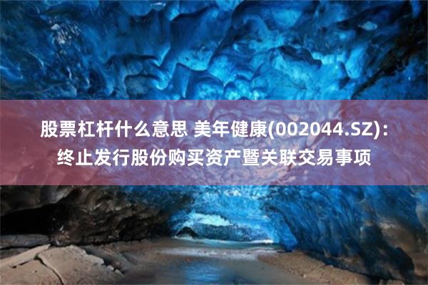 股票杠杆什么意思 美年健康(002044.SZ)：终止发行股份购买资产暨关联交易事项