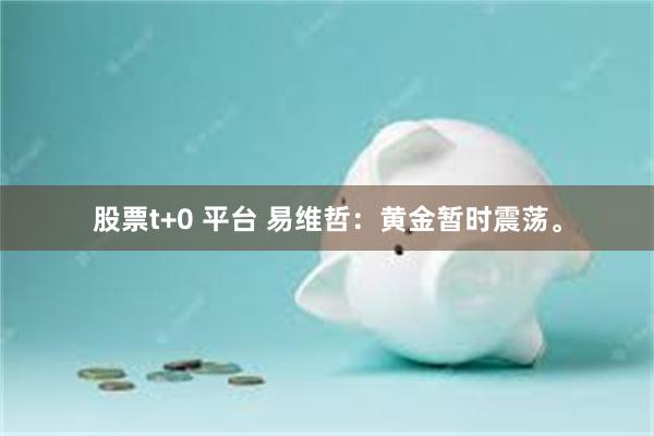 股票t+0 平台 易维哲：黄金暂时震荡。