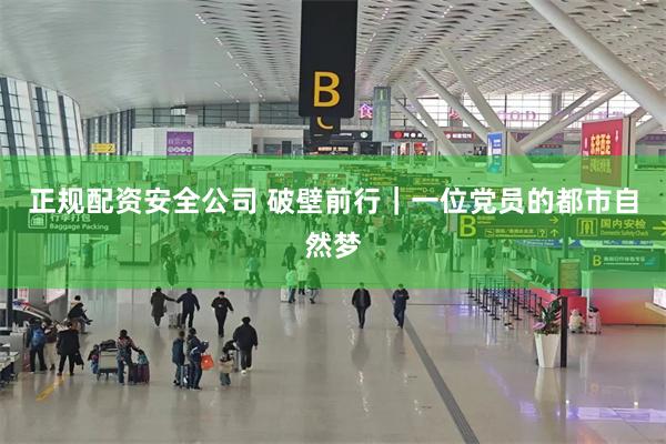 正规配资安全公司 破壁前行｜一位党员的都市自然梦