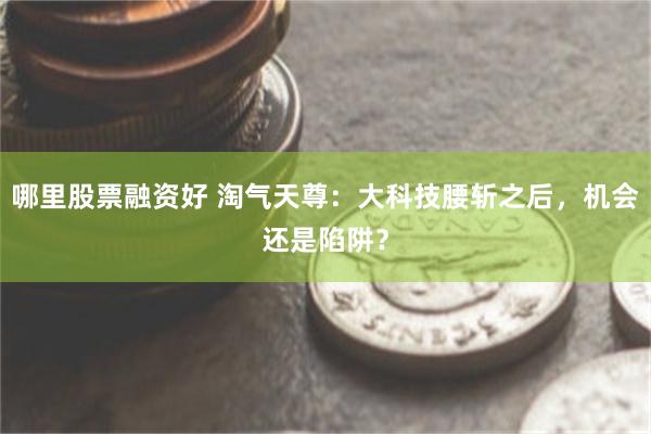 哪里股票融资好 淘气天尊:大科技腰斩之后,机会还是陷阱?