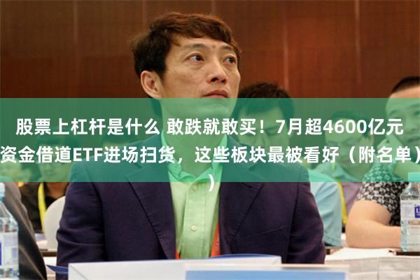 股票上杠杆是什么 敢跌就敢买！7月超4600亿元资金借道ETF进场扫货，这些板块最被看好（附名单）