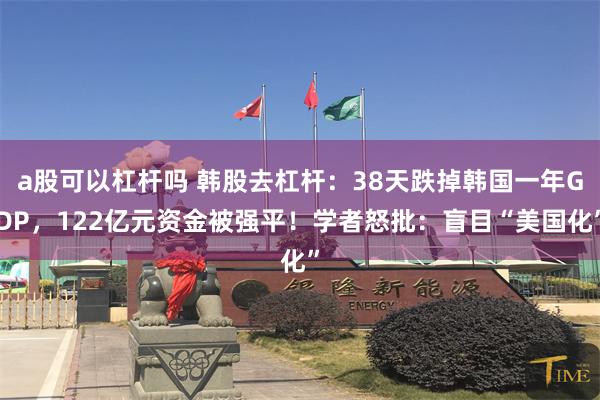 a股可以杠杆吗 韩股去杠杆：38天跌掉韩国一年GDP，122亿元资金被强平！学者怒批：盲目“美国化”
