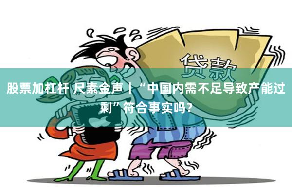 股票加杠杆 尺素金声丨“中国内需不足导致产能过剩”符合事实吗？