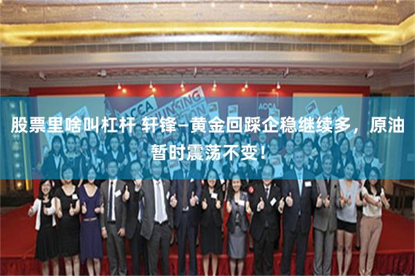 股票里啥叫杠杆 轩锋—黄金回踩企稳继续多，原油暂时震荡不变！