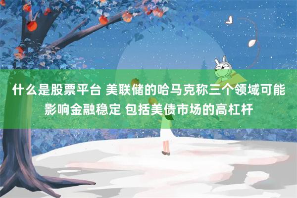 什么是股票平台 美联储的哈马克称三个领域可能影响金融稳定 包括美债市场的高杠杆