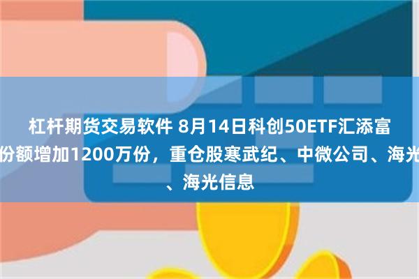 杠杆期货交易软件 8月14日科创50ETF汇添富基金份额增加1200万份，重仓股寒武纪、中微公司、海光信息