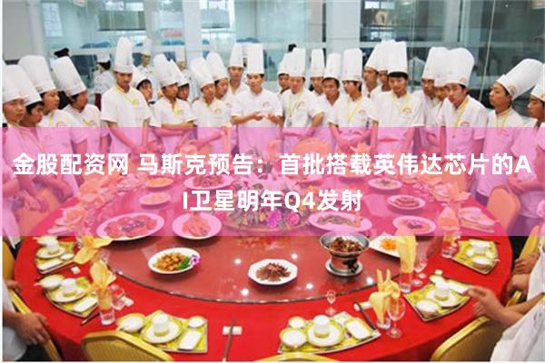 金股配资网 马斯克预告：首批搭载英伟达芯片的AI卫星明年Q4发射