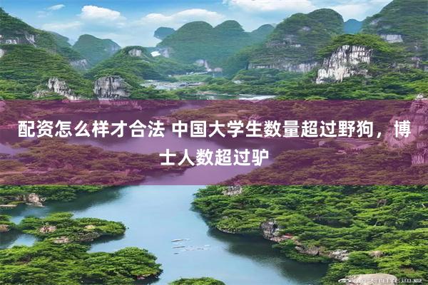 配资怎么样才合法 中国大学生数量超过野狗，博士人数超过驴