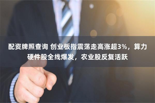 配资牌照查询 创业板指震荡走高涨超3%，算力硬件股全线爆发，农业股反复活跃