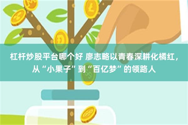 杠杆炒股平台哪个好 廖志略以青春深耕化橘红，从“小果子”到“百亿梦”的领路人