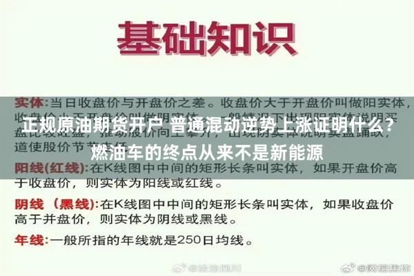 正规原油期货开户 普通混动逆势上涨证明什么？燃油车的终点从来不是新能源