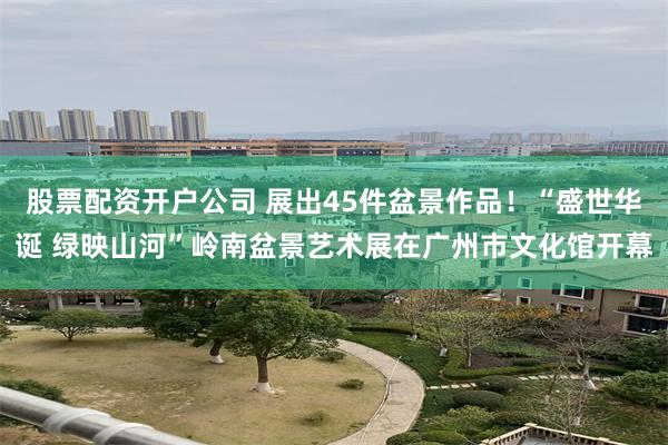 股票配资开户公司 展出45件盆景作品！“盛世华诞 绿映山河”岭南盆景艺术展在广州市文化馆开幕