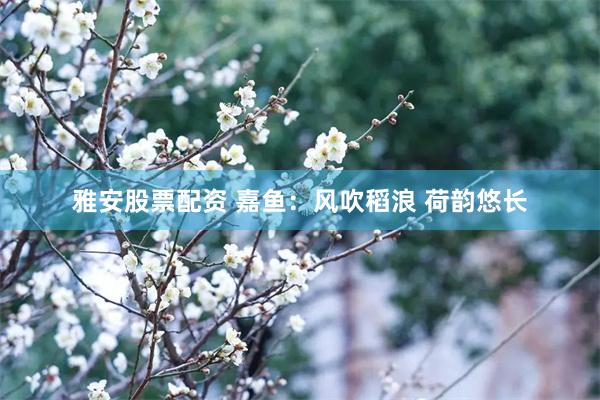 雅安股票配资 嘉鱼:风吹稻浪 荷韵悠长