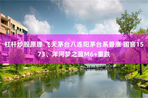 杠杆炒股原理 飞天茅台八连阳茅台系普涨 国窖1573、洋河梦之蓝M6+重跌