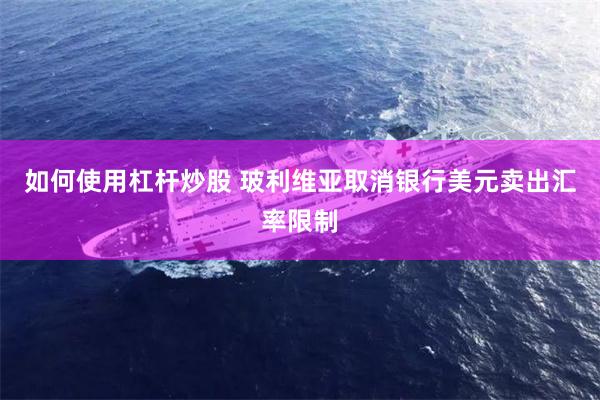 如何使用杠杆炒股 玻利维亚取消银行美元卖出汇率限制