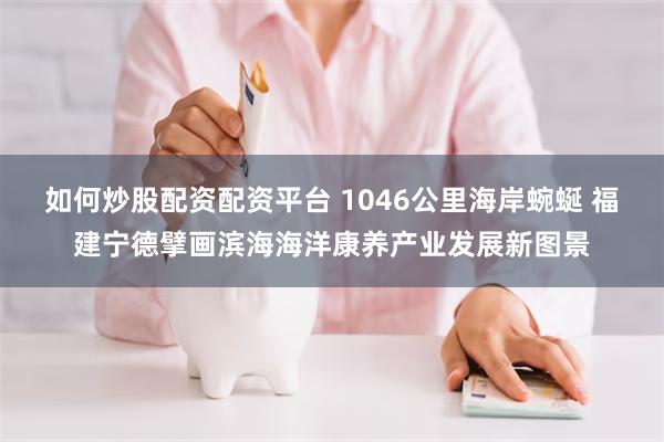 如何炒股配资配资平台 1046公里海岸蜿蜒 福建宁德擘画滨海海洋康养产业发展新图景