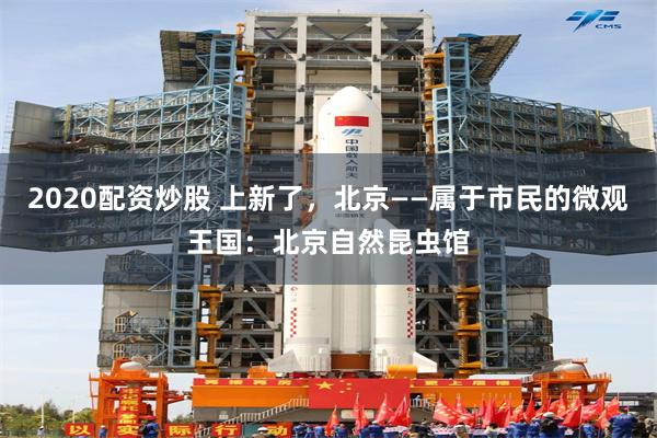 2020配资炒股 上新了，北京——属于市民的微观王国：北京自然昆虫馆