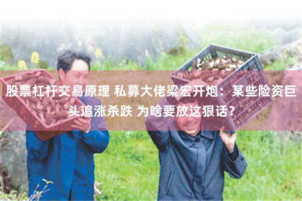 股票杠杆交易原理 私募大佬梁宏开炮：某些险资巨头追涨杀跌 为啥要放这狠话？