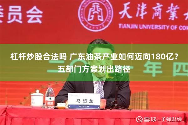 杠杆炒股合法吗 广东油茶产业如何迈向180亿？五部门方案划出路径