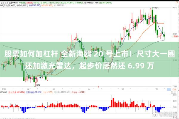 股票如何加杠杆 全新海鸥 20 号上市！尺寸大一圈还加激光雷达，起步价居然还 6.99 万