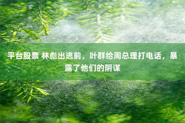 平台股票 林彪出逃前，叶群给周总理打电话，暴露了他们的阴谋